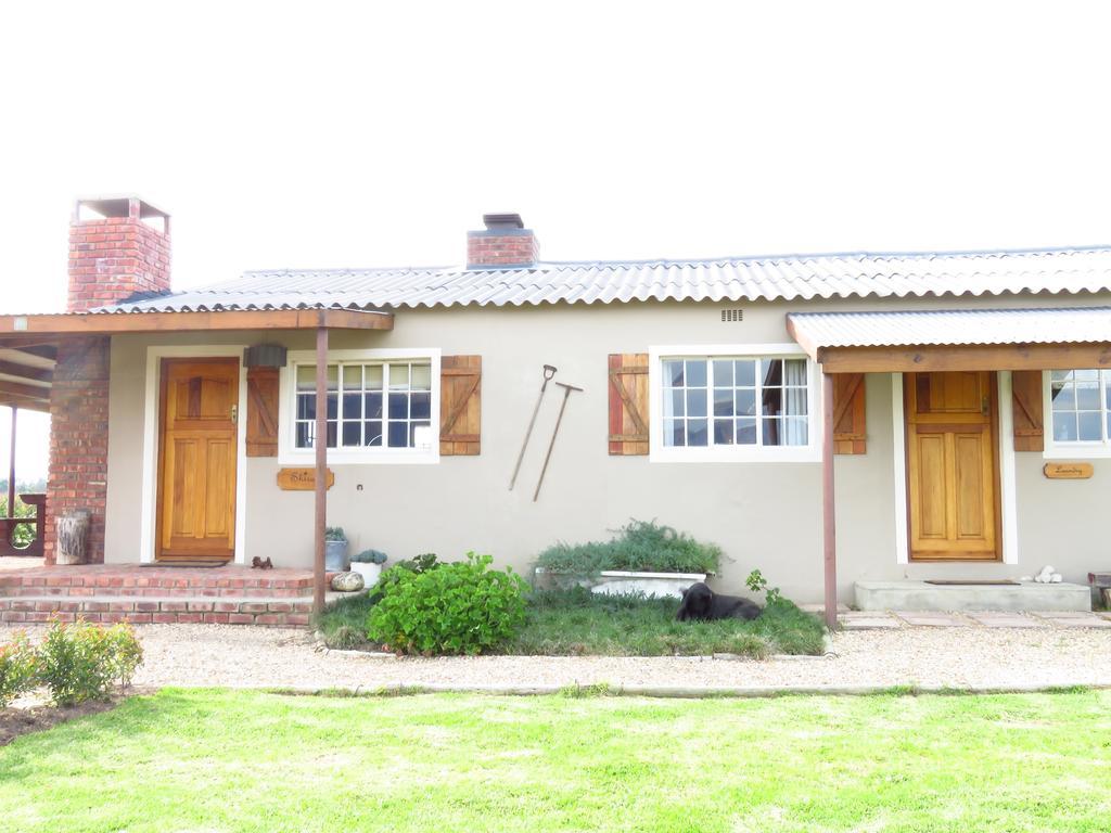 Seven Oaks Vineyard Cottages Wolseley Экстерьер фото