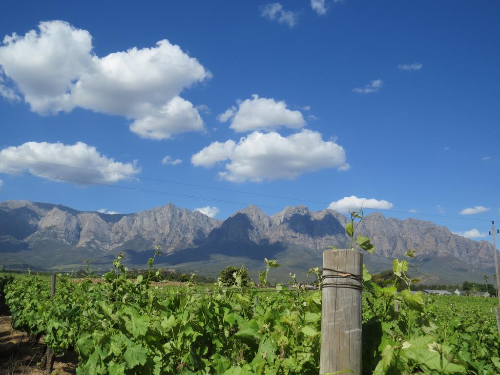 Seven Oaks Vineyard Cottages Wolseley Экстерьер фото