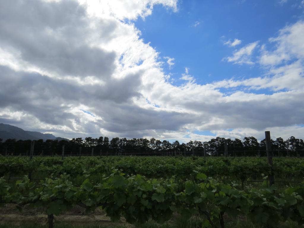 Seven Oaks Vineyard Cottages Wolseley Экстерьер фото